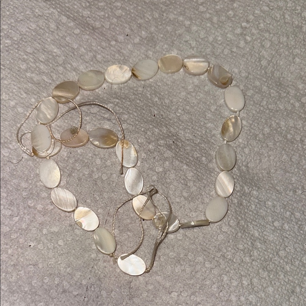Chic Cream Shell Necklace